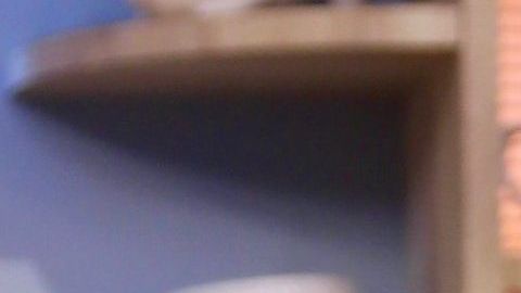 Ana Patricia Gámez.