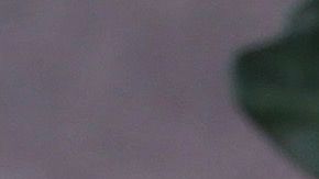 James Tahhan, junto a su esposa.