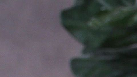 James Tahhan, junto a su esposa.