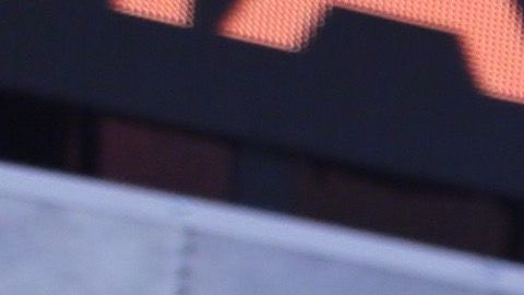 Adamari López y Rashel Díaz.