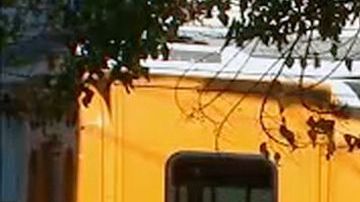 Escena del accidente