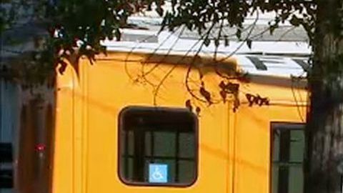 Escena del accidente