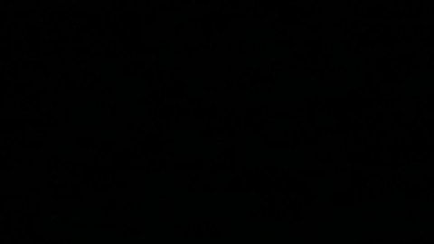 action-auto-automotive-258083 (1)