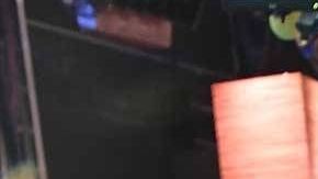 Adamari López y Toni Costa.