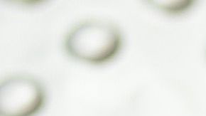 Quizás sea mejor que no vayas a tiendas en las que sólo vendan medicamentos si quieres ahorrar.