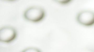 Quizás sea mejor que no vayas a tiendas en las que sólo vendan medicamentos si quieres ahorrar.