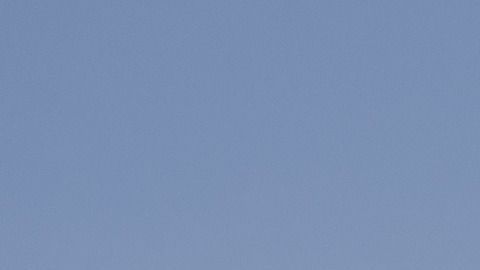 Checa cuáles serán tus mejores opciones de vuelo.