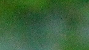 La contaminación afecta ensaladas empacadas.