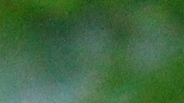 La contaminación afecta ensaladas empacadas.