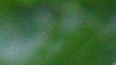 La contaminación afecta ensaladas empacadas.