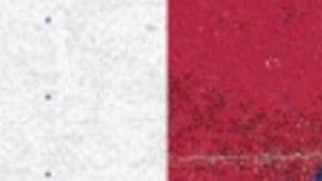 Listo el primer fichaje de las Chivas para el Clausura 2020.