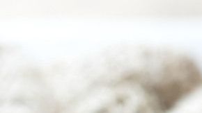 Evita la ingesta de bebidas comerciales como los jugos procesados, refrescos y tés endulzados artificialmente. Prepara fácilmente esta maravillosa bebida natural, llena de beneficios.
