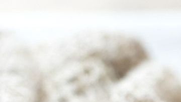 Evita la ingesta de bebidas comerciales como los jugos procesados, refrescos y tés endulzados artificialmente. Prepara fácilmente esta maravillosa bebida natural, llena de beneficios.