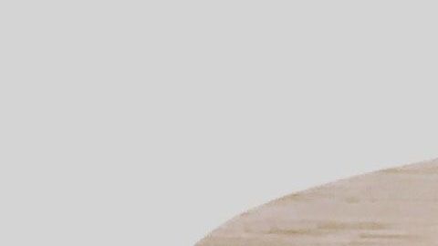 Vale la pena comer aguacate todos los días.