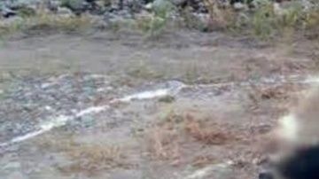 Bebé ritual satánico Edomex