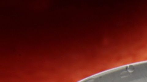 bebida energética-gadini-pixabay