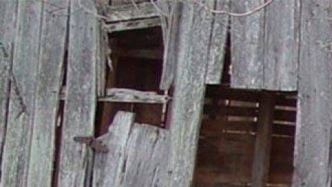 Ford Mustang Shelby GT500 1968