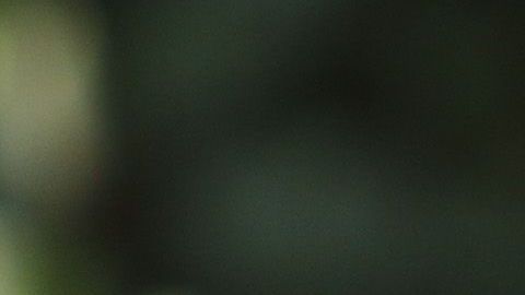 Guillermo Álvarez, el presidente del Cruz Azul.