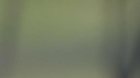 Photo © 2019 Backgrid Australia/The Grosby Group
Spain: Lagencia Grosby

EXCLUSIVE

Gold Coast, AUSTRALIA, 26 Nov, 2019.

Pamela Anderson poses in swimsuit for a photoshoot on the Gold Coast