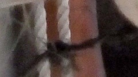 Photo © 2019 Backgrid/The Grosby Group
Spain: Lagencia Grosby

Tulum, MEXICO  - *EXCLUSIVE*  

Spanish Singer Alejandro Sanz enjoys a relaxing day with his girl at the beach while vacationing in Tulum.

Pictured: Alejandro Sanz

26 OCTOBER 2019