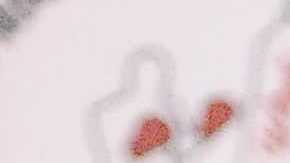 Sylvia del Raso, tesorera de Chicago Youth Boxing Club, con Dominicc Hardy. (Javier Quiroz / La Raza)