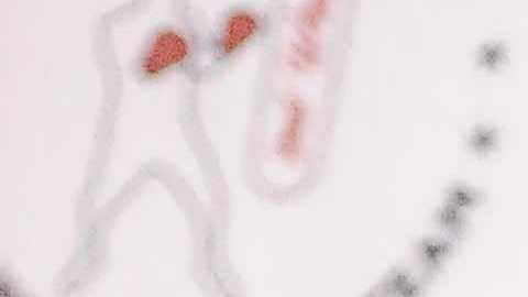 Sylvia del Raso, tesorera de Chicago Youth Boxing Club, con Dominicc Hardy. (Javier Quiroz / La Raza)