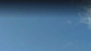 El crimen sucedió en Bronx River Houses