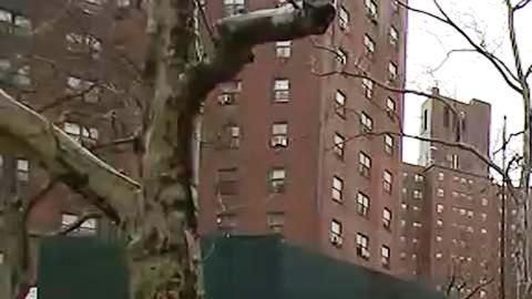 Bronx River Houses, Soundview