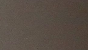 Cardenal Timothy Dolan