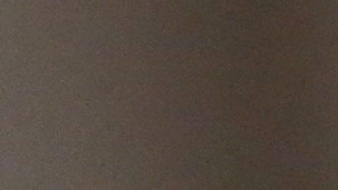 Cardenal Timothy Dolan