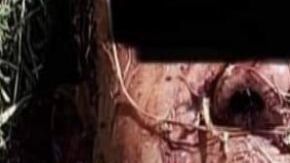 Cártel del Noreste deja ejecutado y narcomensaje con amenazas vs autoridades