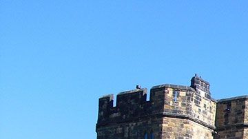 Ahora sí, literalmente, podrás darte una vida de rey gracias a tu apellido. Imagen sólo con fines ilustrativos.