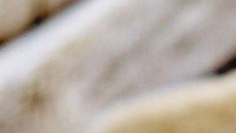 Gracias al premio, pueden salvarle la vida a su mascota.