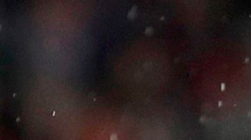 Un ladrón estuvo cerca de entrar a la residencia de Javier Hernández.