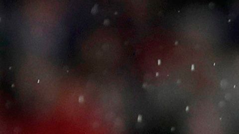 Un ladrón estuvo cerca de entrar a la residencia de Javier Hernández.