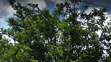 Addabbo Family Health Center, Far Rockaway