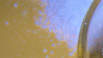 Todos deben beberlo de manera que el dedo toque los labios al inclinar el vaso.