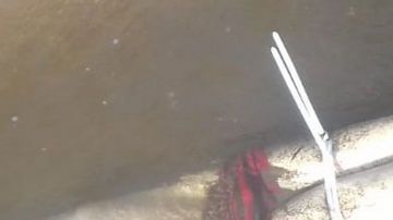 ¿Comenzó la venganza de Ovidio y el Chapito vs quienes los traicionaron?