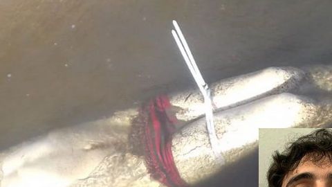 ¿Comenzó la venganza de Ovidio y el Chapito vs quienes los traicionaron?