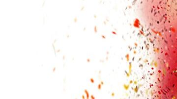 comida-piel-shutterstock_586945316