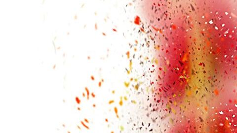 comida-piel-shutterstock_586945316