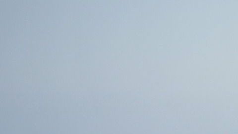 Algunos pasajeros se habrían quejado de la falta de respeto mostrada por la pareja.