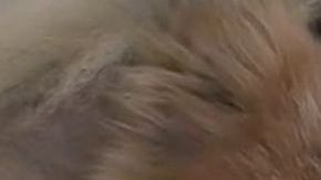 Chloe fue raptada por un coyote.