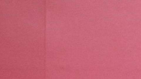 Demi Lovato busca el amor.