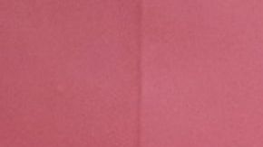 Demi Lovato busca el amor.