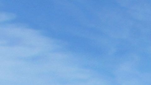 Warren alojó a dos inmigrantes en un albergue de la organización No más muertes.