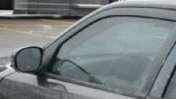 Los arrestados serán deportados.