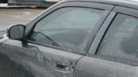 Los arrestados serán deportados.