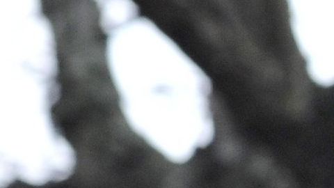 Deval Patrick anunció que se postula a se postula a la carrera presidencial demócrata.