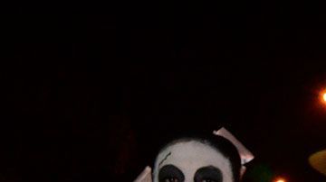 Estas flores son indispensables para celebrar el Día de Muertos.